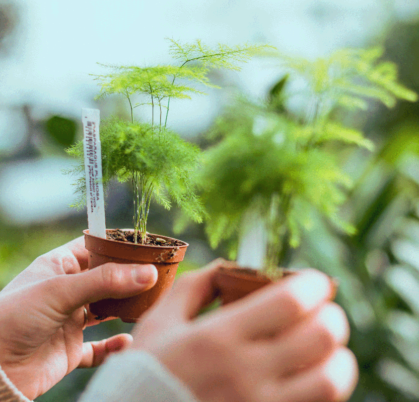 Sostenibilidad y respeto al medio ambiente de las jardineras de piedra.